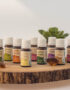 Compose your Essential Oils & Aromatherapy Pack